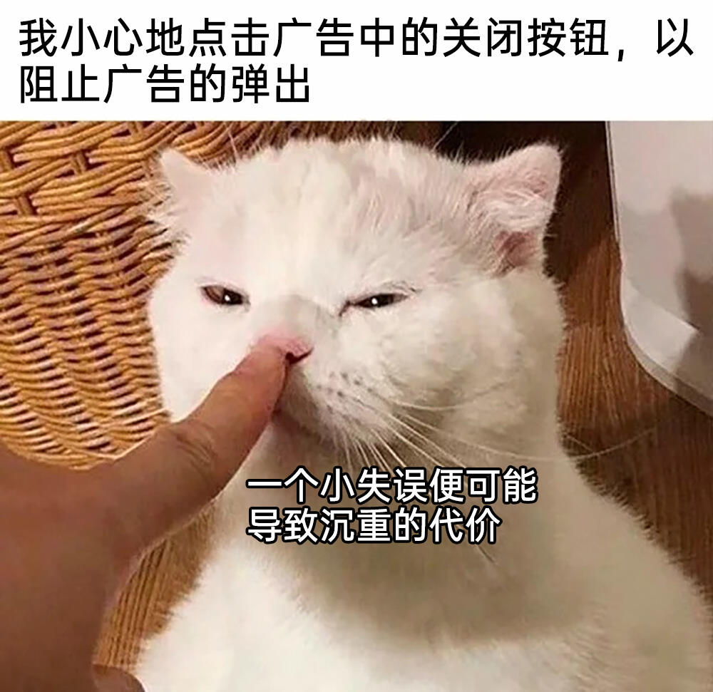 第1269页