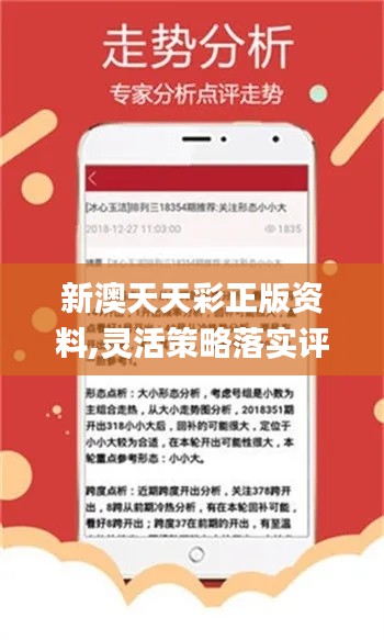 2024年新澳天天开彩最新资料,行动规划执行_创意版21.684