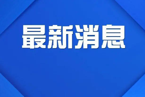 疫情最新动态，要闻综述与观点解析
