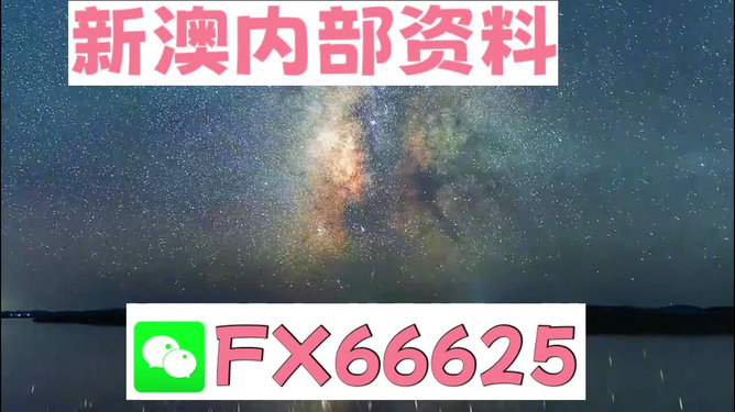 新澳天天彩免费资料大全查询,专业地调查详解_进口版58.262