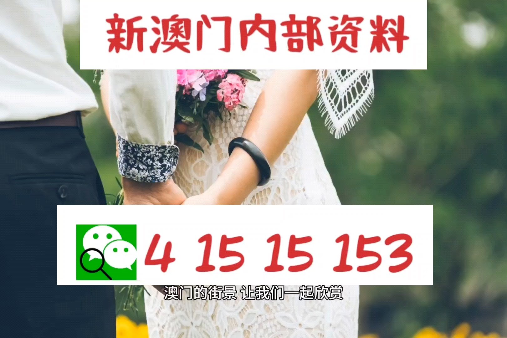 新澳门内部一码最精准公开,全方位操作计划_环境版67.501