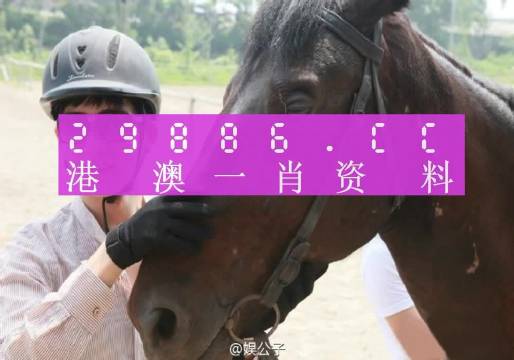 新澳门一肖一码中恃,具象化表达解说_资源版11.910