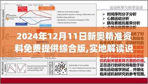 2024年新奥最新资料内部资料,稳固计划实施_融合版43.779