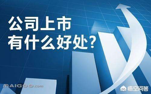 公司上市弊端深度解析，时代的反思与探究