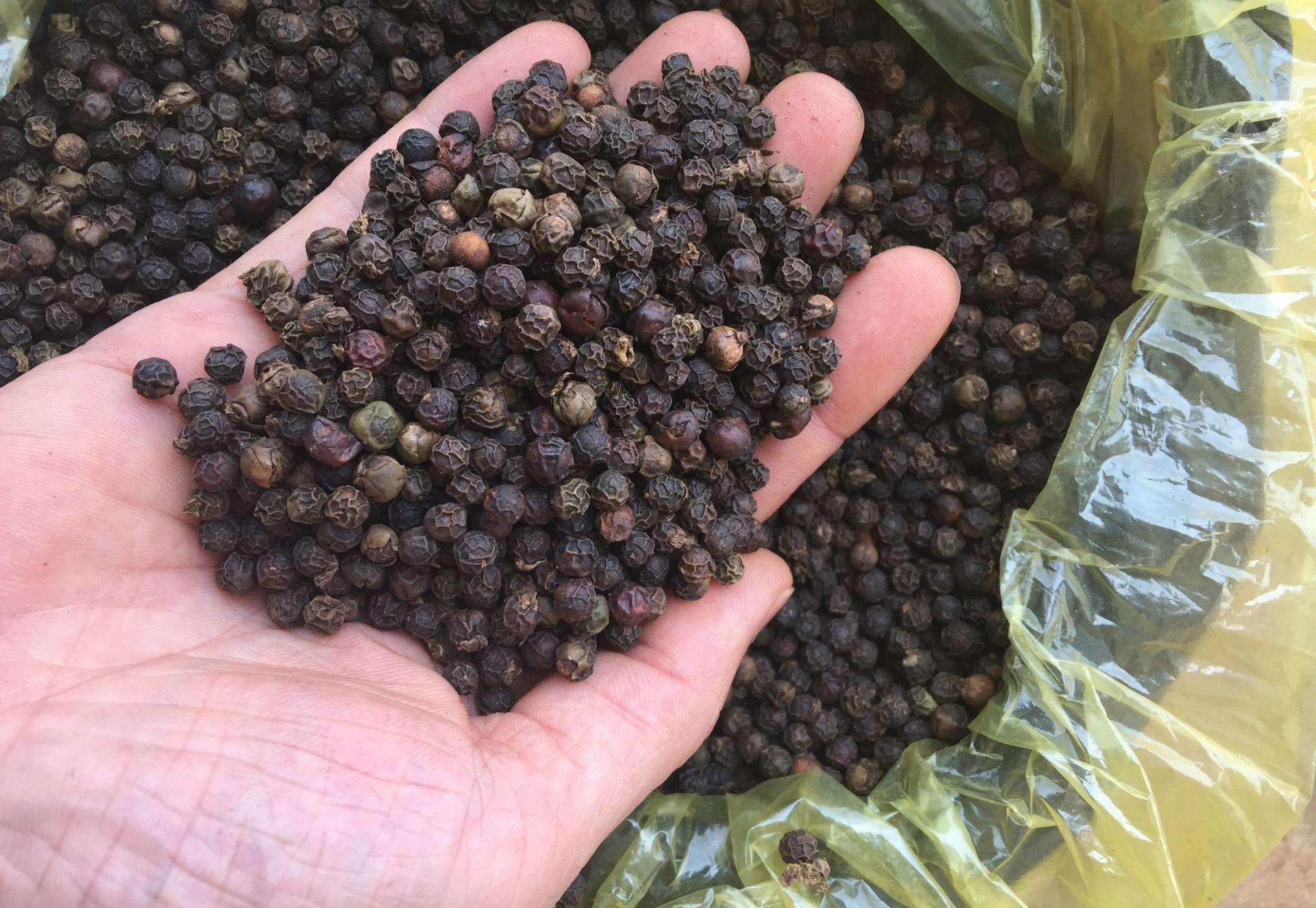 胡椒最新价格，味道在变，你的生活也在变。