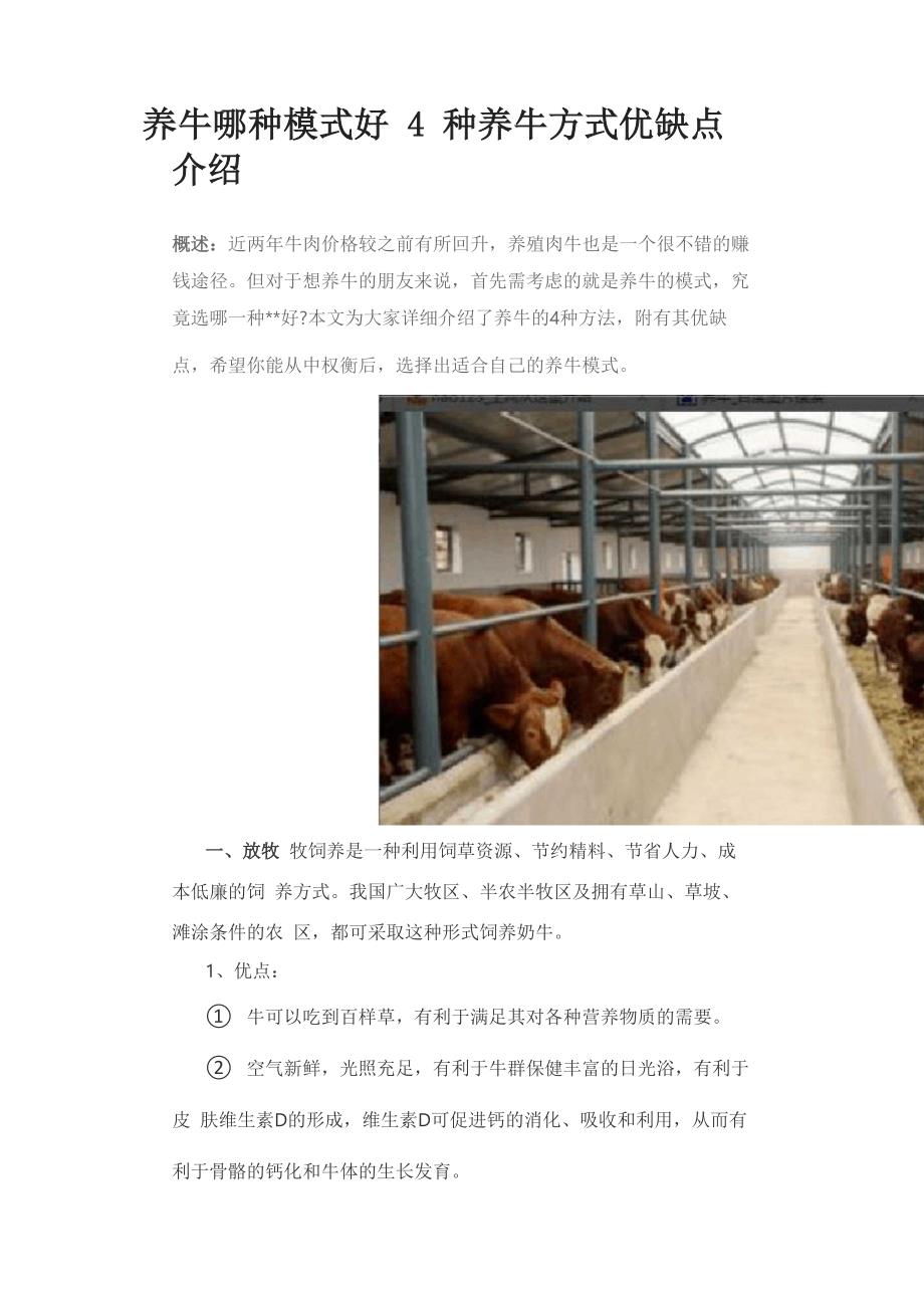 最新养牛模式揭秘，小巷里的神秘牛事探索