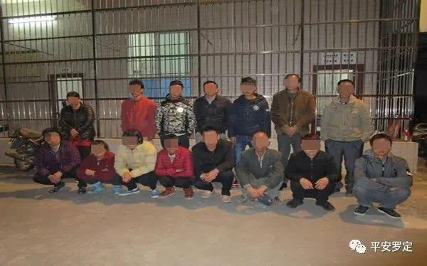 罗定之旅，自然美景化解纷扰，探寻内心平和之地