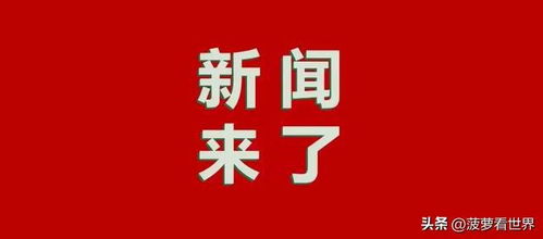 今日热点深度解析，探究某一观点的最新动态